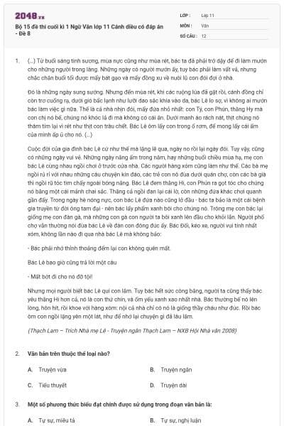 Bộ 15 đề thi cuối kì 1 Ngữ Văn lớp 11 Cánh diều có đáp án - Đề 8
