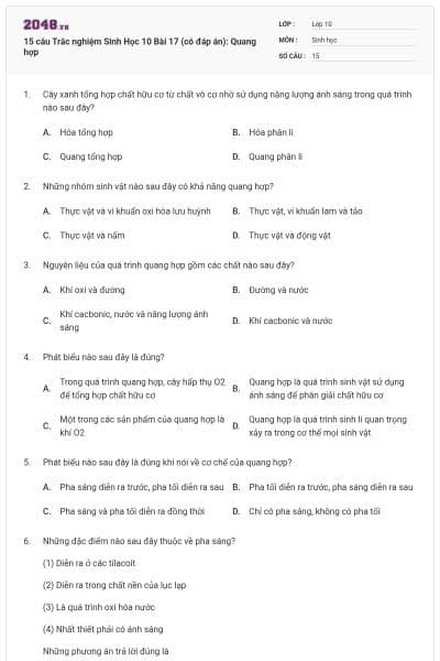 15 câu Trắc nghiệm Sinh Học 10 Bài 17 (có đáp án): Quang hợp