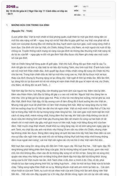 Bộ 10 đề thi giữa kì 2 Ngữ Văn lớp 11 Cánh diều có đáp án - Đề 9