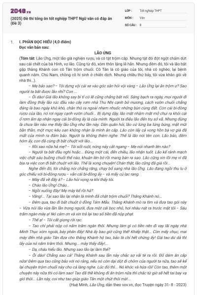 (2025) Đề thi tổng ôn tốt nghiệp THPT Ngữ văn có đáp án (Đề 3)