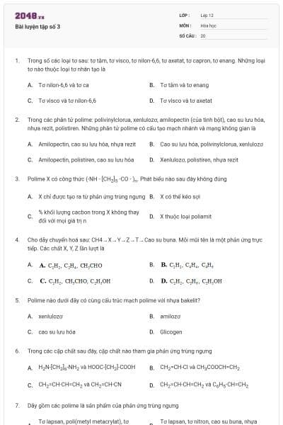 Bài luyện tập số 3