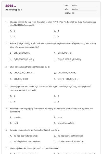 Bài luyện tập số 4