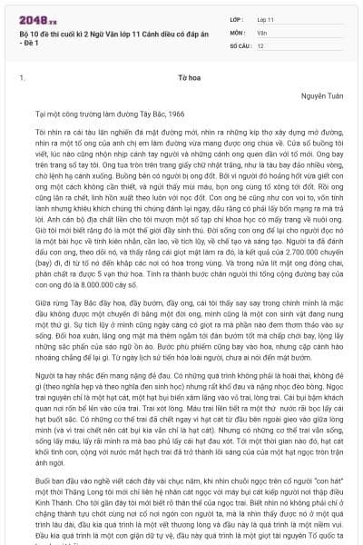 Bộ 10 đề thi cuối kì 2 Ngữ Văn lớp 11 Cánh diều có đáp án - Đề 1