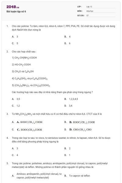 Bài luyện tập số 6