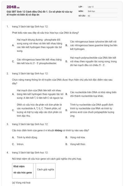 Giải SBT Sinh 12 Cánh diều Chủ đề 1. Cơ sở phân tử của sự di truyền và biến dị có đáp án