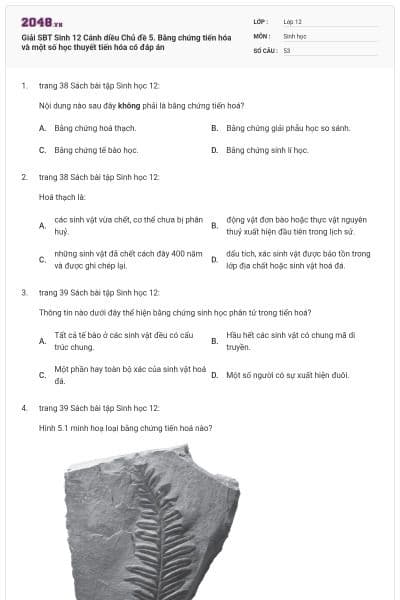 Giải SBT Sinh 12 Cánh diều Chủ đề 5. Bằng chứng tiến hóa và một số học thuyết tiến hóa có đáp án
