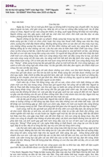 Đề thi thử tốt nghiệp THPT môn Ngữ Văn - THPT Nguyễn Viết Xuân - Sở GD&ĐT Vĩnh Phúc năm 2025 có đáp án