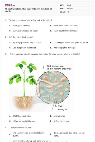 10 câu trắc nghiệm Khoa học 5 Kết nối tri thức Bài 6 có đáp án