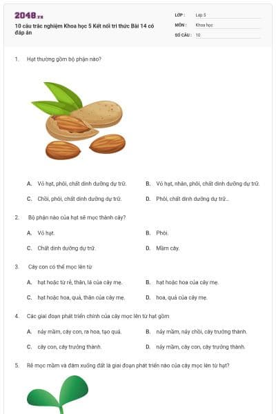 10 câu trắc nghiệm Khoa học 5 Kết nối tri thức Bài 14 có đáp án