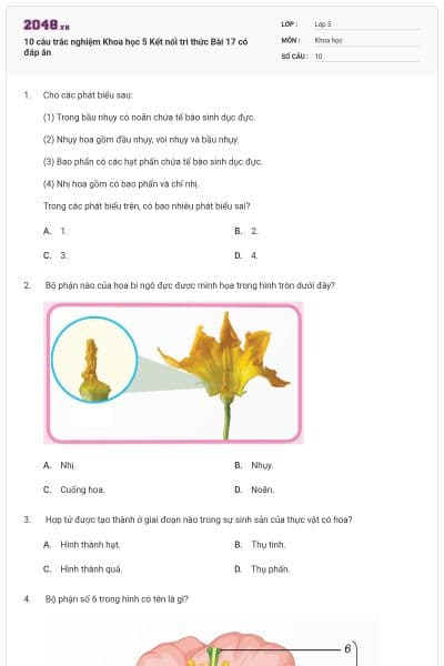 10 câu trắc nghiệm Khoa học 5 Kết nối tri thức Bài 17 có đáp án