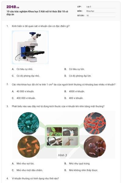 10 câu trắc nghiệm Khoa học 5 Kết nối tri thức Bài 18 có đáp án