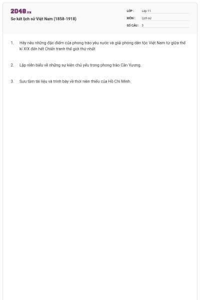 Sơ kết lịch sử Việt Nam (1858-1918)