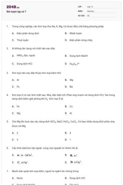 Bài luyện tập số 7