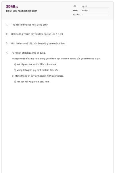 Bài 3: Điều hòa hoạt động gen