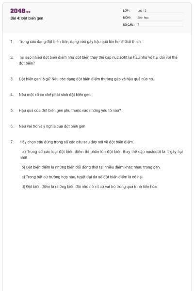 Bài 4: Đột biến gen