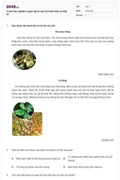 4 câu trắc nghiệm Luyện tập tả cây cối Cánh diều có đáp án