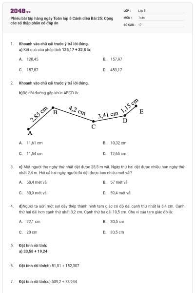 Phiếu bài tập hàng ngày Toán lớp 5 Cánh diều Bài 25: Cộng các số thập phân có đáp án