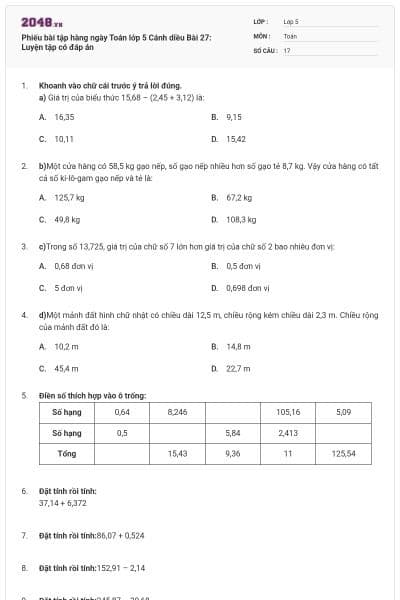 Phiếu bài tập hàng ngày Toán lớp 5 Cánh diều Bài 27: Luyện tập có đáp án