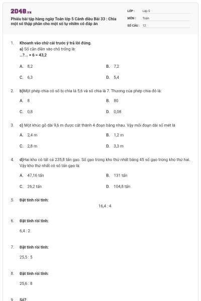 Phiếu bài tập hàng ngày Toán lớp 5 Cánh diều Bài 33 : Chia một số thập phân cho một số tự nhiên có đáp án