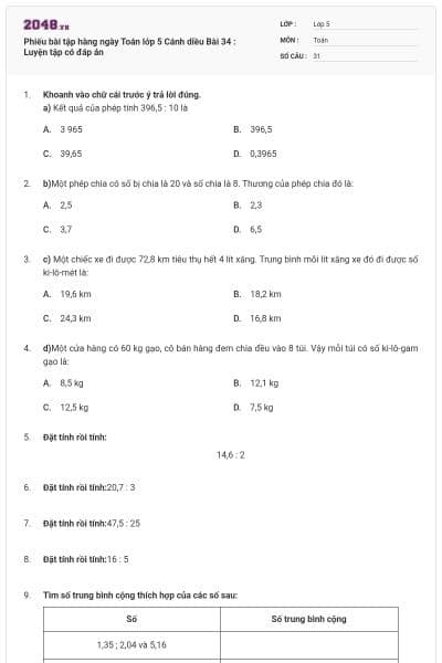 Phiếu bài tập hàng ngày Toán lớp 5 Cánh diều Bài 34 : Luyện tập có đáp án