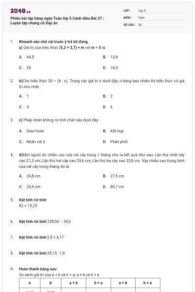 Phiếu bài tập hàng ngày Toán lớp 5 Cánh diều Bài 37 : Luyện tập chung có đáp án