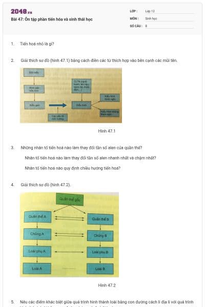 Bài 47: Ôn tập phần tiến hóa và sinh thái học