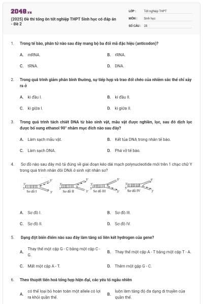 (2025) Đề thi tổng ôn tốt nghiệp THPT Sinh học có đáp án - Đề 2