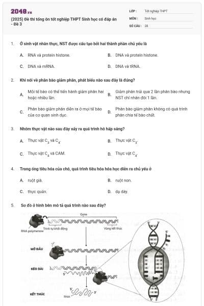 (2025) Đề thi tổng ôn tốt nghiệp THPT Sinh học có đáp án - Đề 3