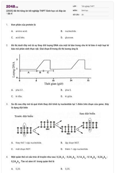 (2025) Đề thi tổng ôn tốt nghiệp THPT Sinh học có đáp án - Đề 4