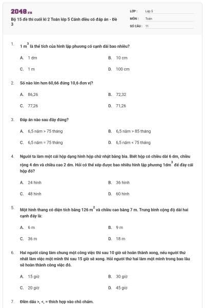 Bộ 15 đề thi cuối kì 2 Toán lớp 5 Cánh diều có đáp án - Đề 3