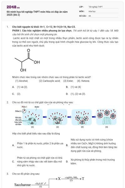 Đề minh họa tốt nghiệp THPT môn Hóa có đáp án năm 2025 (Đề 2)