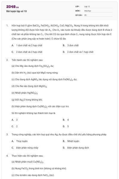 Bài luyện tập số 10