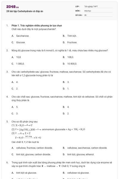 28 bài tập Carbohydrate có đáp án