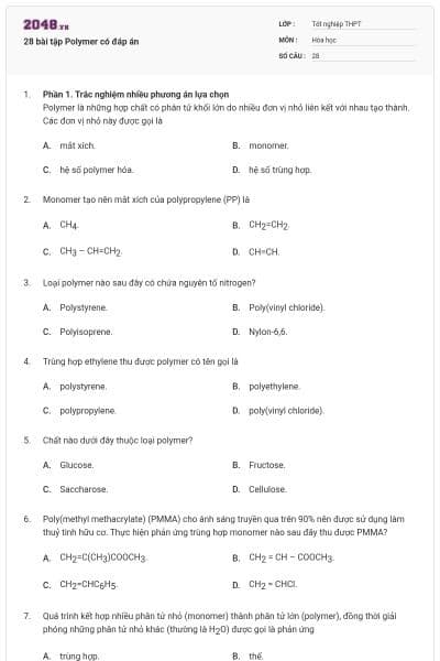 28 bài tập Polymer có đáp án