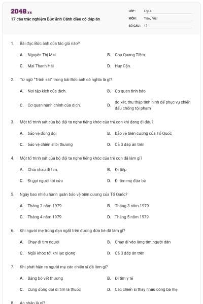 17 câu trắc nghiệm Bức ảnh Cánh diều có đáp án