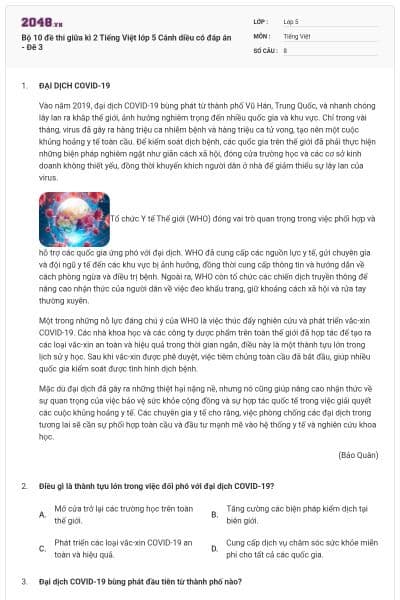 Bộ 10 đề thi giữa kì 2 Tiếng Việt lớp 5 Cánh diều có đáp án - Đê 3