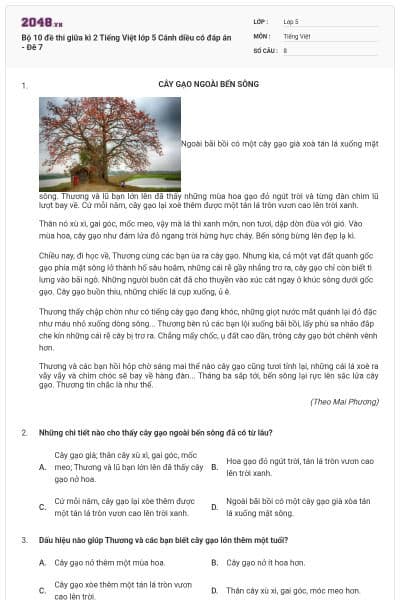 Bộ 10 đề thi giữa kì 2 Tiếng Việt lớp 5 Cánh diều có đáp án - Đê 7