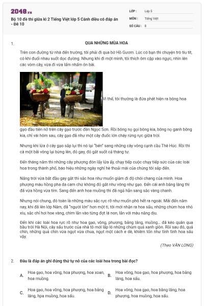 Bộ 10 đề thi giữa kì 2 Tiếng Việt lớp 5 Cánh diều có đáp án - Đê 10