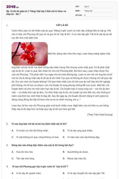 Bộ 10 đề thi giữa kì 2 Tiếng Việt lớp 5 Kết nối tri thức có đáp án - Đề 1