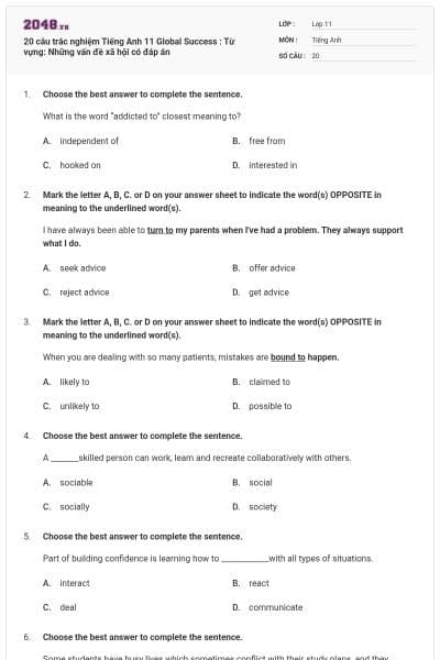 20 câu trắc nghiệm Tiếng Anh 11 Global Success : Từ vựng: Những vấn đề xã hội có đáp án
