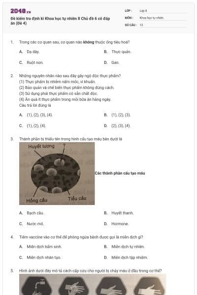 Đề kiểm tra định kì Khoa học tự nhiên 8 Chủ đề 6 có đáp án (Đề 4)