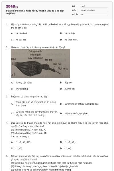 Đề kiểm tra định kì Khoa học tự nhiên 8 Chủ đề 6 có đáp án (Đề 9)