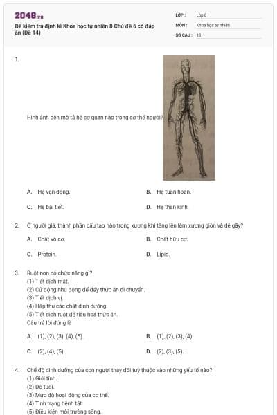 Đề kiểm tra định kì Khoa học tự nhiên 8 Chủ đề 6 có đáp án (Đề 14)