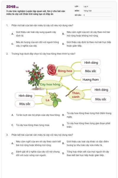 3 câu trắc nghiệm Luyện tập quan sát, tìm ý cho bài văn miêu tả cây cối Chân trời sáng tạo có đáp án