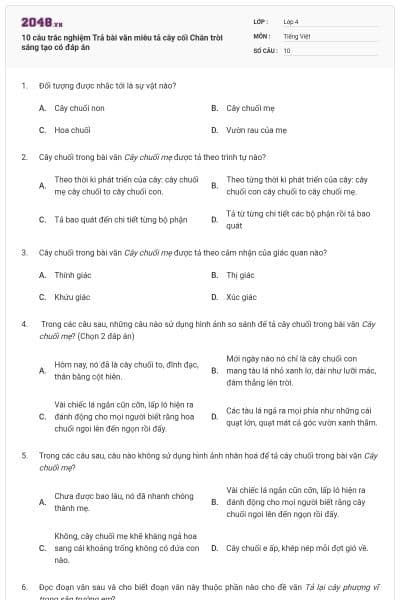 10 câu trắc nghiệm Trả bài văn miêu tả cây cối Chân trời sáng tạo có đáp án