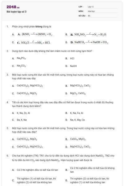 Bài luyện tập số 3