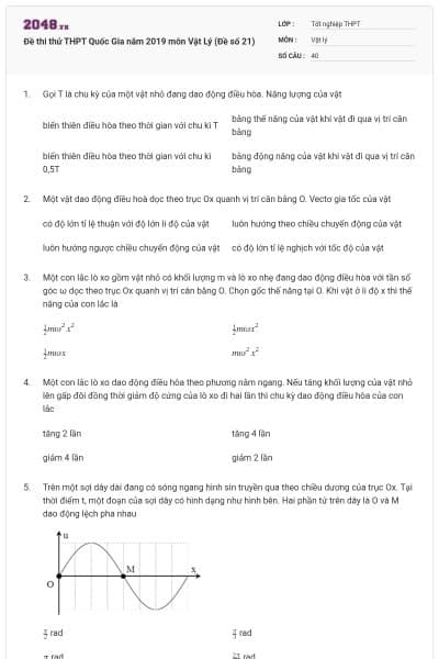 Đề thi thử THPT Quốc Gia năm 2019 môn Vật Lý (Đề số 21)