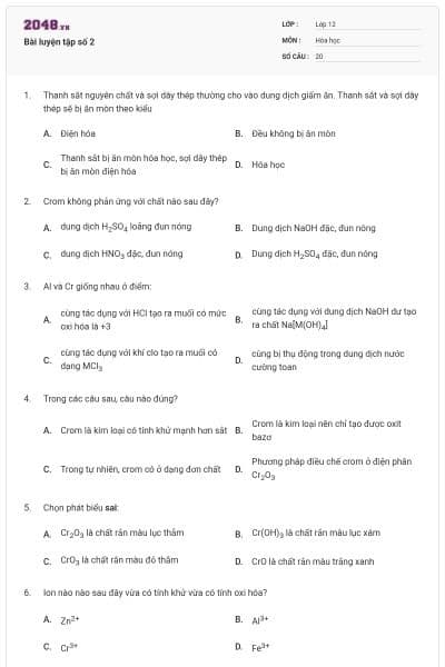 Bài luyện tập số 2