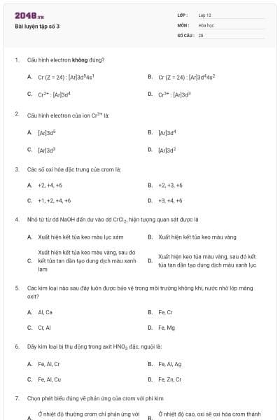 Bài luyện tập số 3