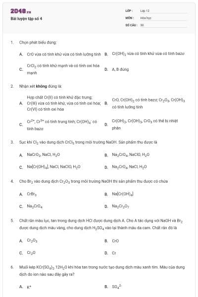 Bài luyện tập số 4